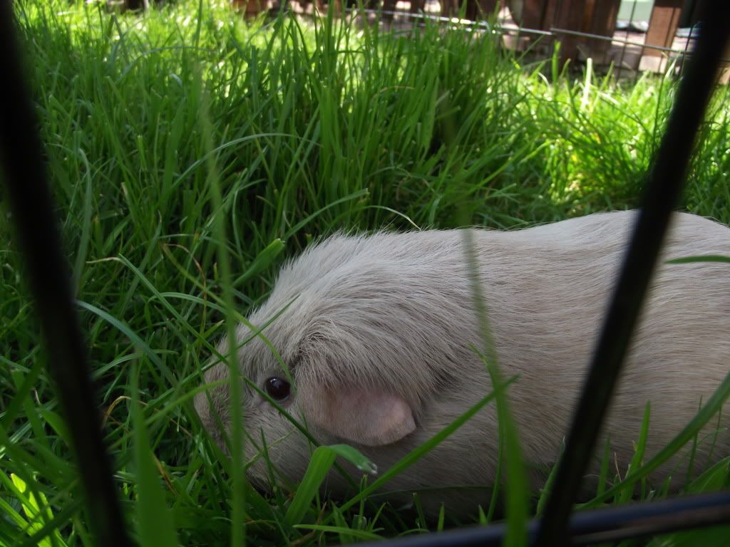 DSCF2307.jpg