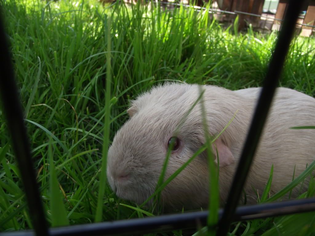 DSCF2308.jpg