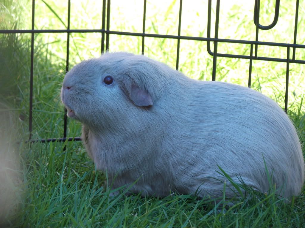 DSCF2383.jpg