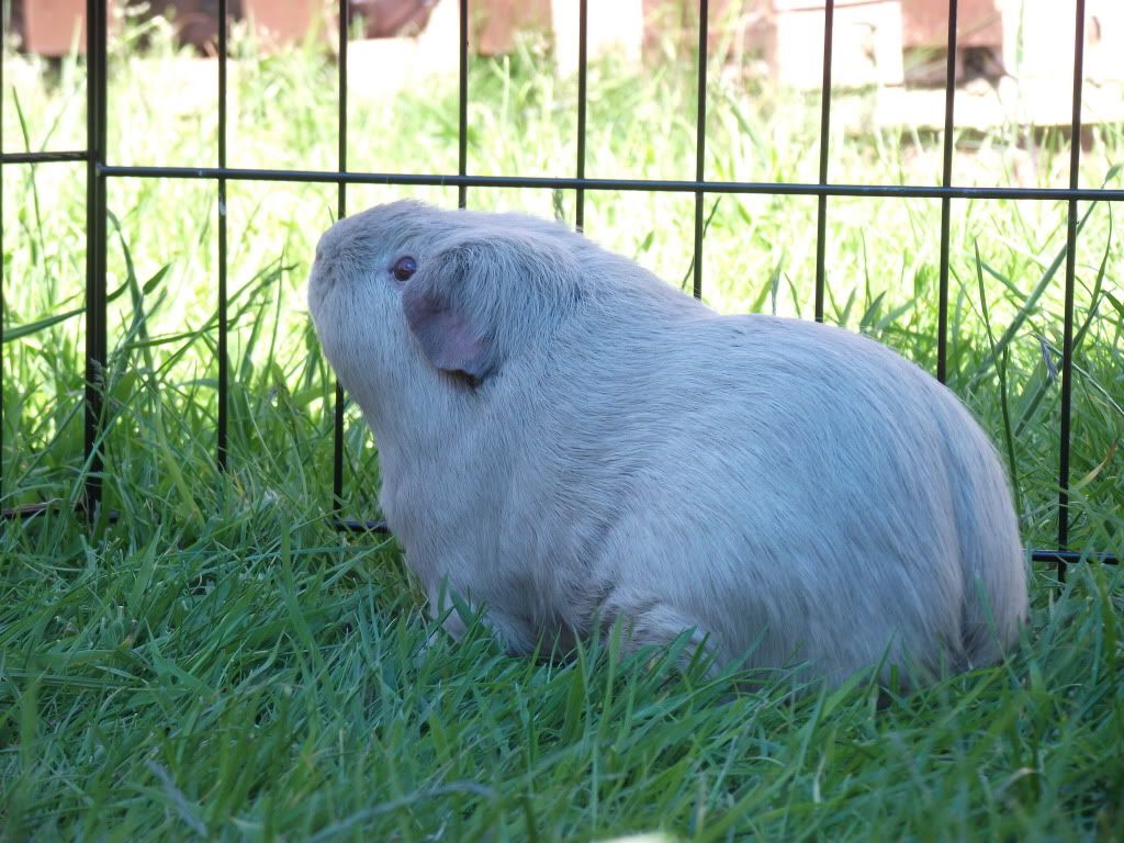 DSCF2386.jpg