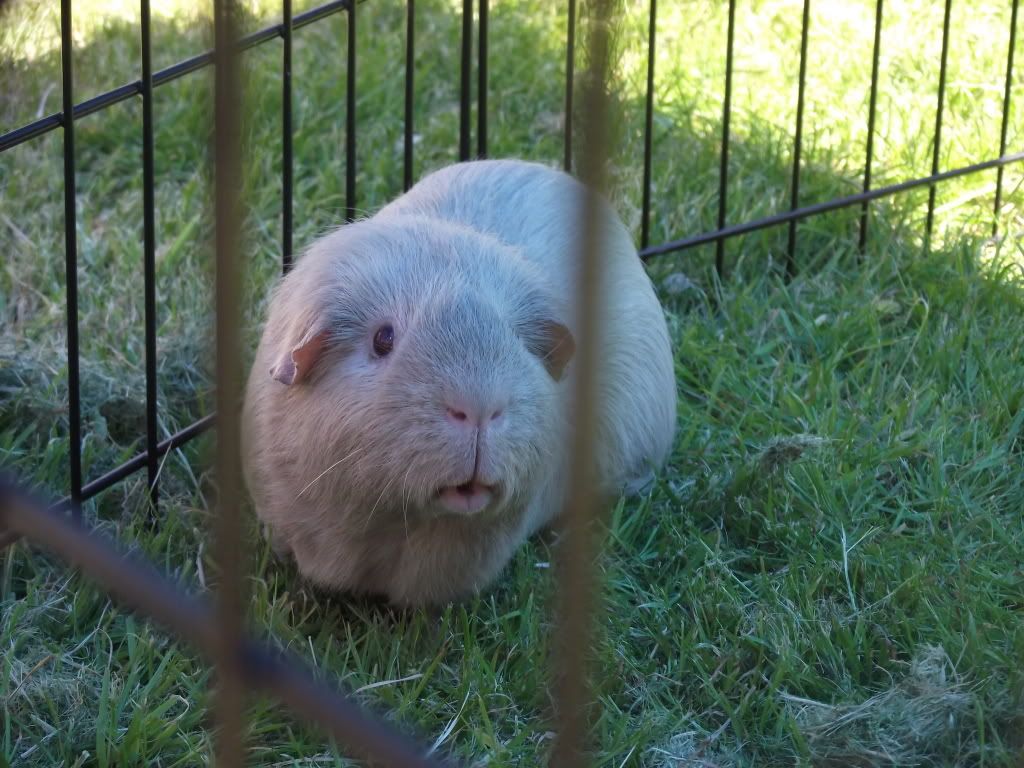 DSCF2575.jpg