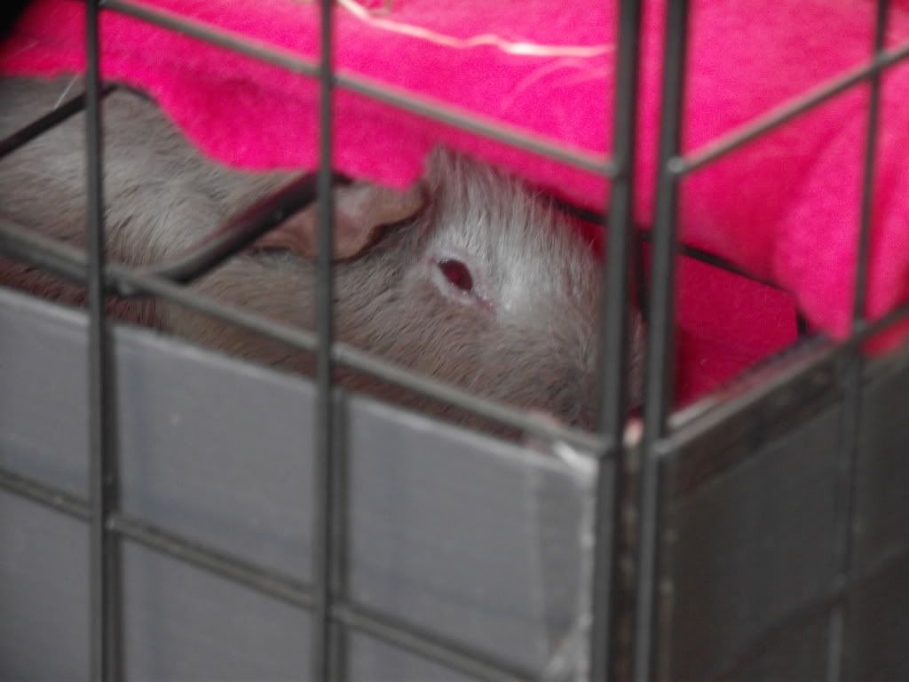 DSCF2630.jpg