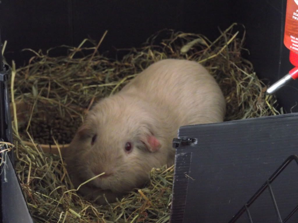 DSCF2643.jpg