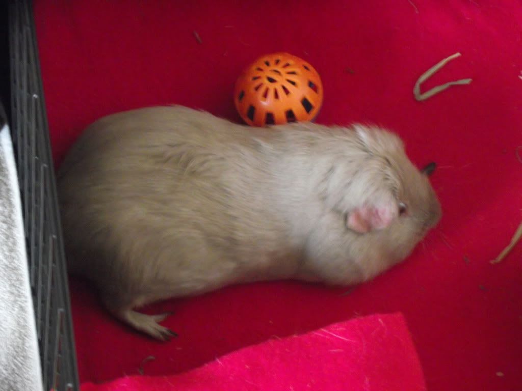 DSCF2698.jpg