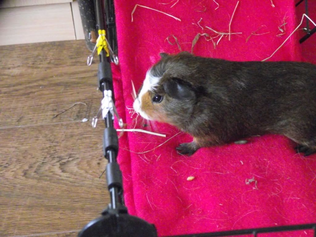 DSCF2725.jpg