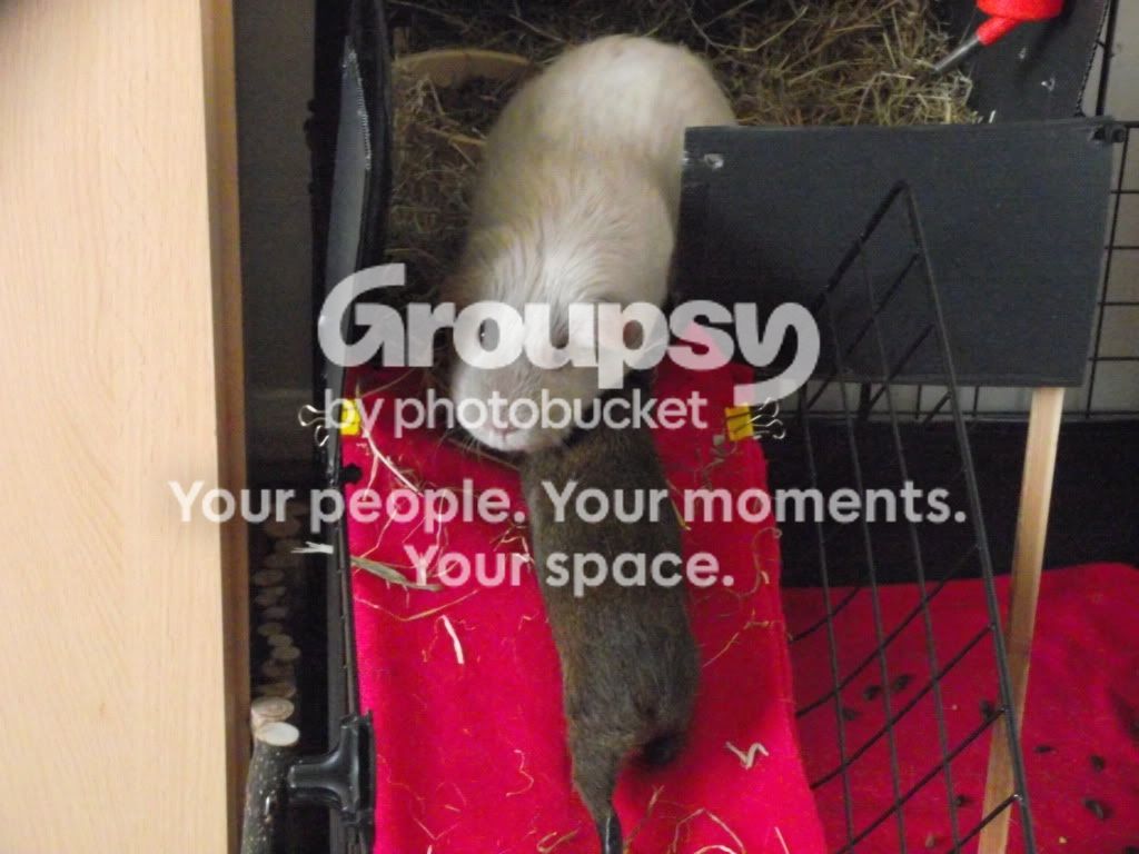 DSCF2728.jpg