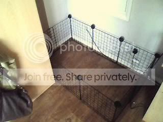 Picture0001.jpg