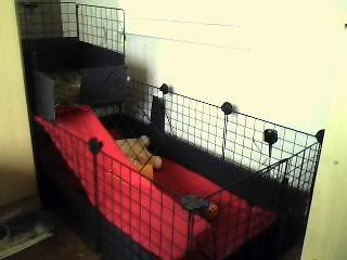 Picture0003.jpg