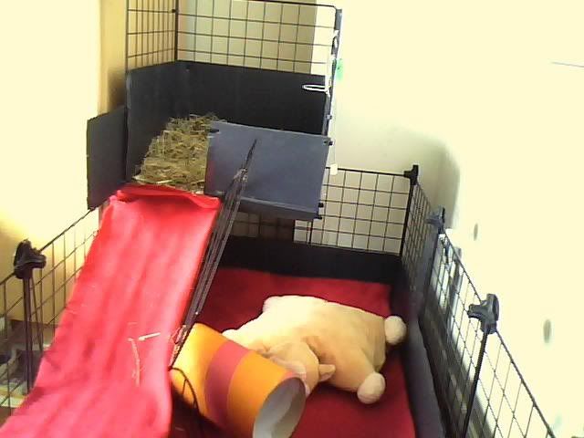 Picture0004.jpg