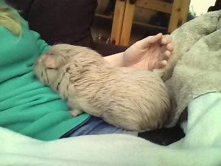 Picture0009.jpg