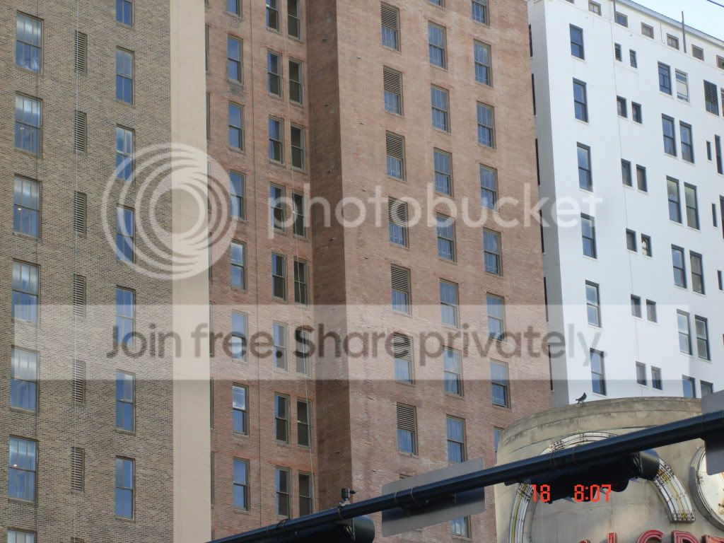 11-05-09127.jpg