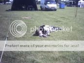 "Photo Sharing and Video Hosting at Photobucket"