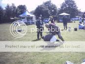 "Photo Sharing and Video Hosting at Photobucket"