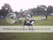 "Photo Sharing and Video Hosting at Photobucket"