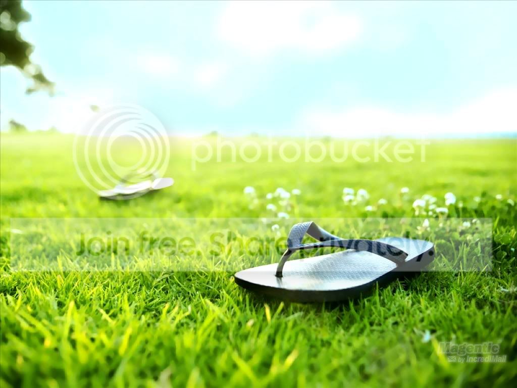 Flip_Flops.jpg