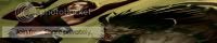 Through the Looking Glass banner