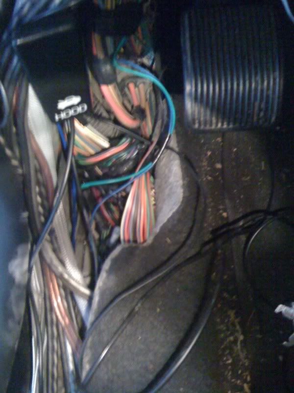 Color Codes For Radio Wiring Body And Interior Crownvicnet