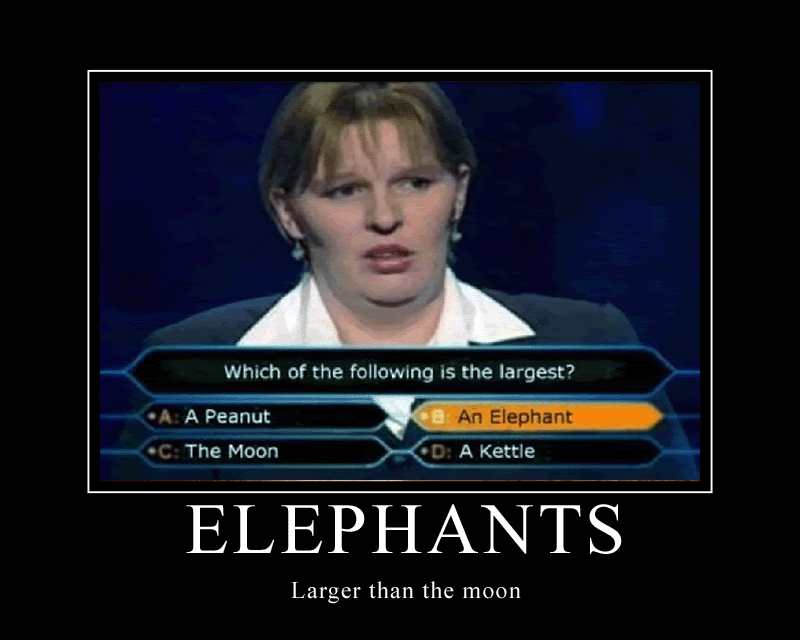 moon.gif