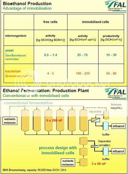 An In-depth Look At Biorefinery Concepts