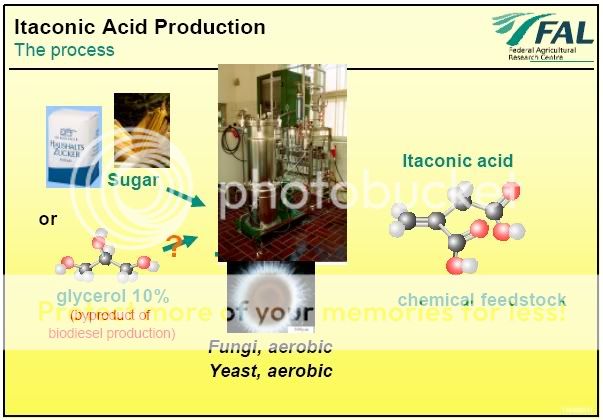 An In-depth Look At Biorefinery Concepts